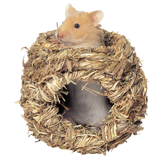 Nichoir en herbe pour rongeur