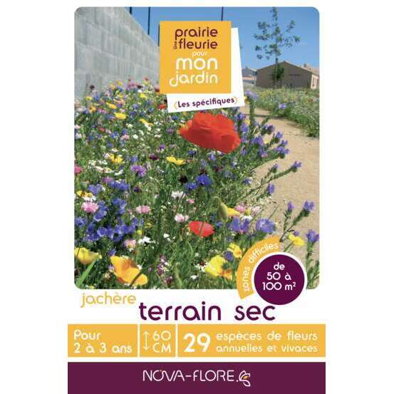 Mélange fleuri 