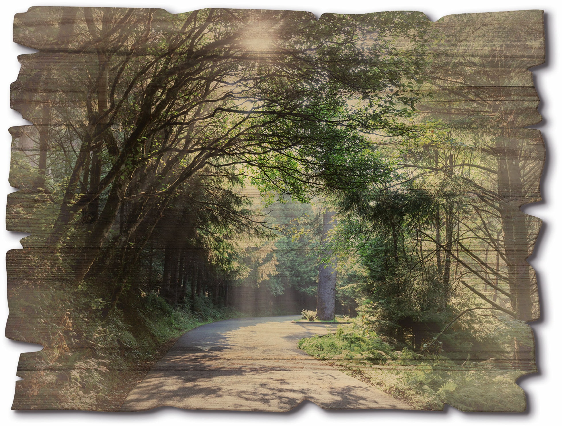 Artland Holzbild »Sonniger Wald« Baumbilder 1 Stk. tlg.