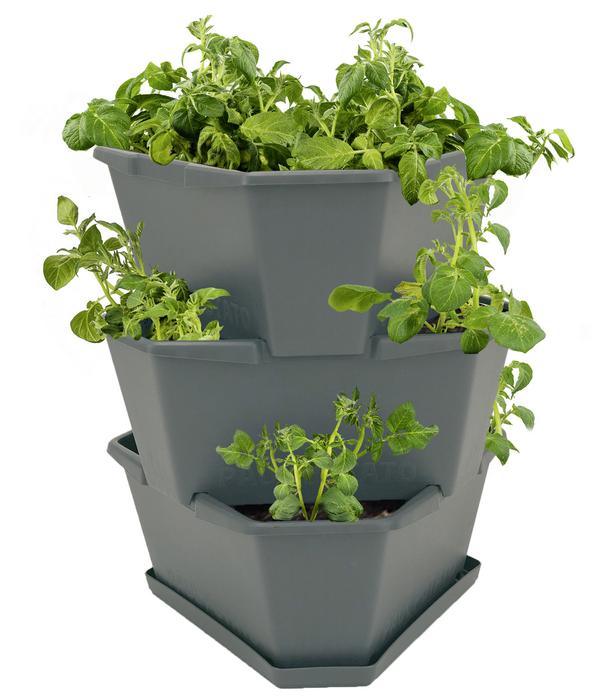 Gusta Garden Kartoffelturm Paul Potato