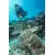 Certina DS Action Diver Automatikuhr Special Edition STC