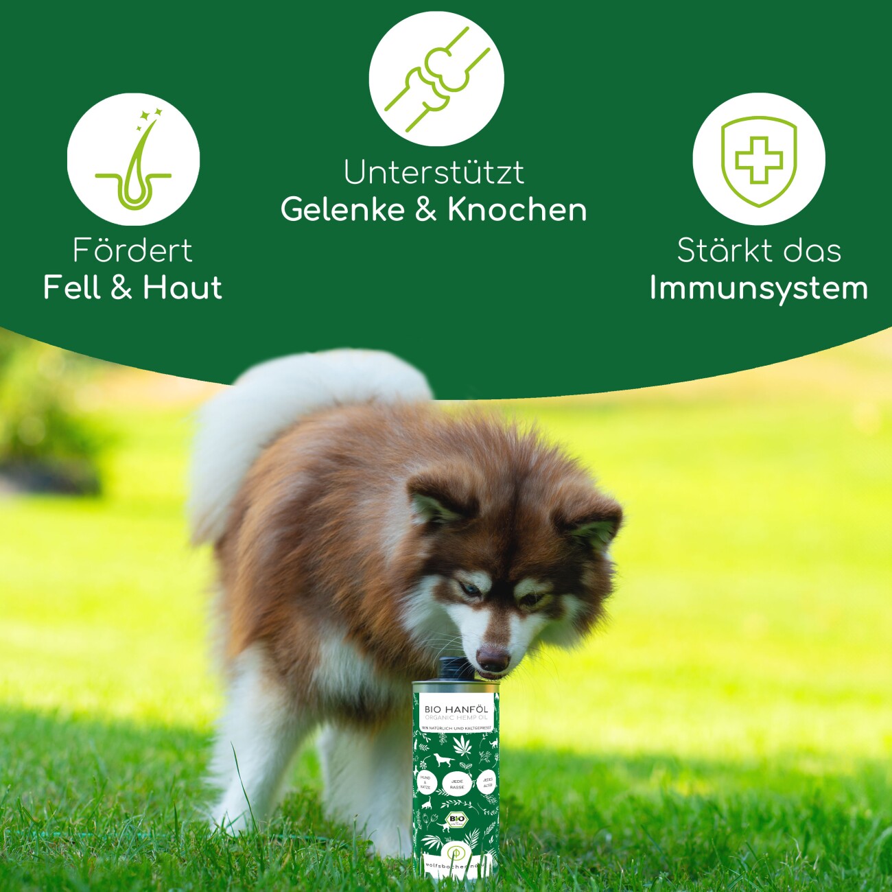 Wolfsbacher Natur Futteröl Set 3 x 1 Liter