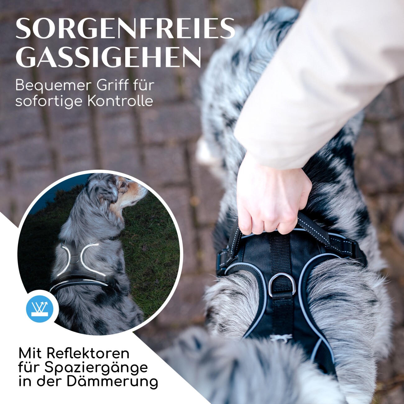 Freudentier Hundegeschirr mit Mesh-Polsterung M