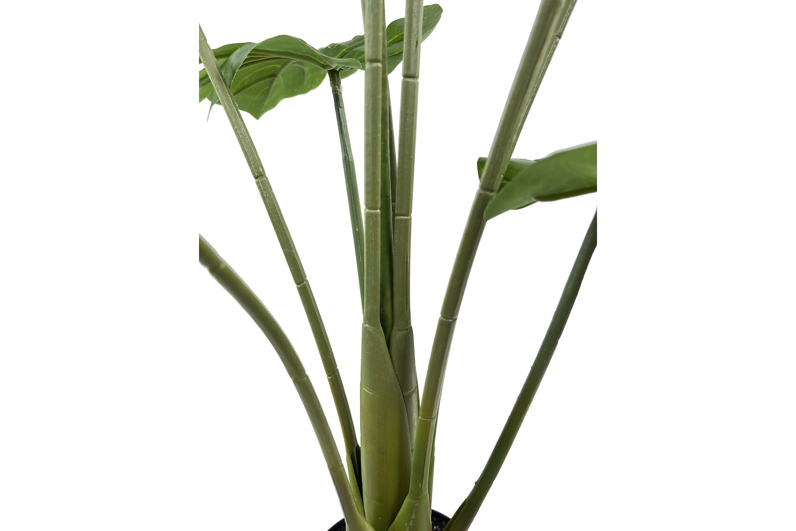 Monstera potteplante Grønn H90 cm