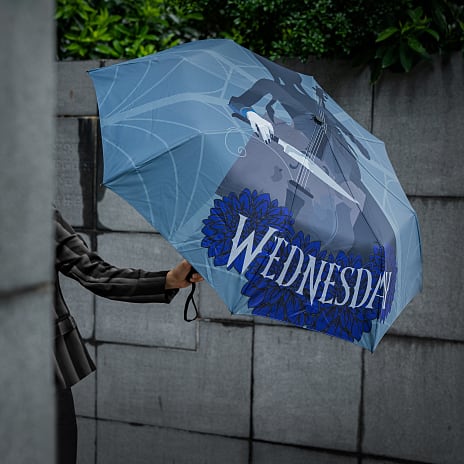 Wednesday paraply