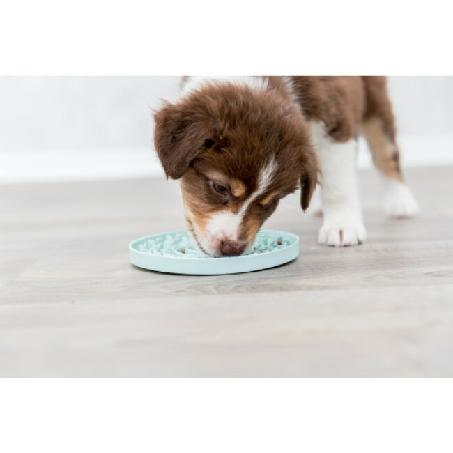 Assiette à lécher Junior Lick’n'Snack Trixie pour chiot