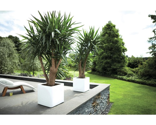 elho Pure Soft Brick plantenpot, kunststof, 50x50x49 cm, wit, inclusief wielen