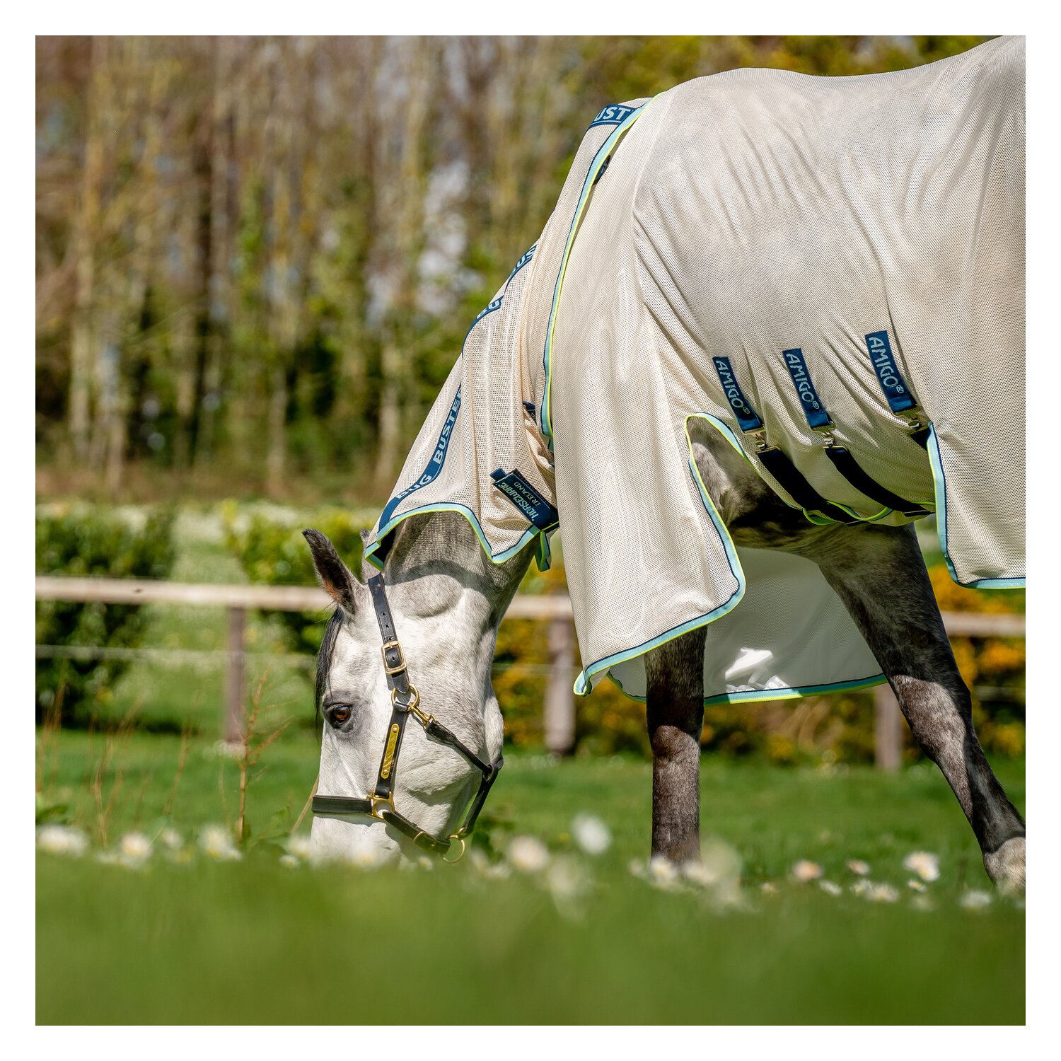 HORSEWARE Fliegendecke AMIGO Bug Buster  - chalk/navy/blue/haze