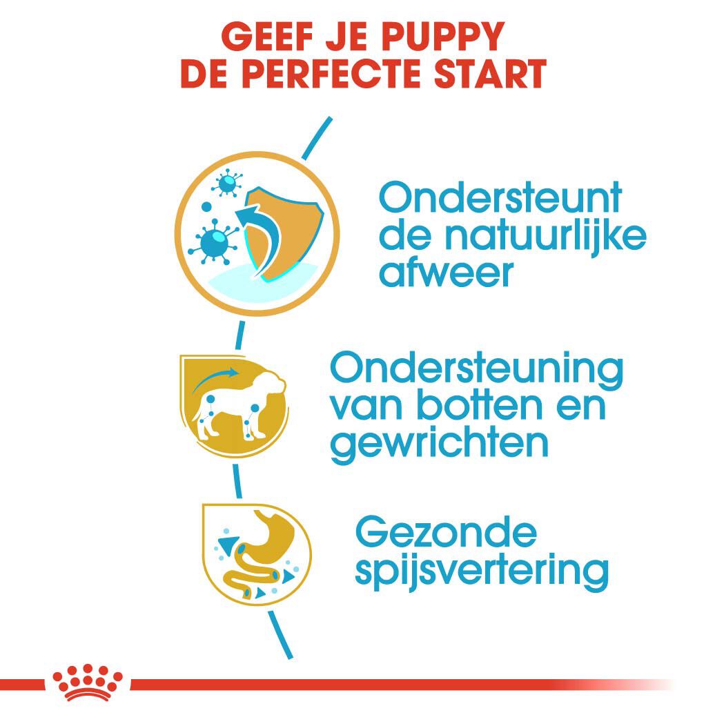 Royal Canin BHN Dachshund Puppy - Hondenvoer - 1500 Gram - gevogelte