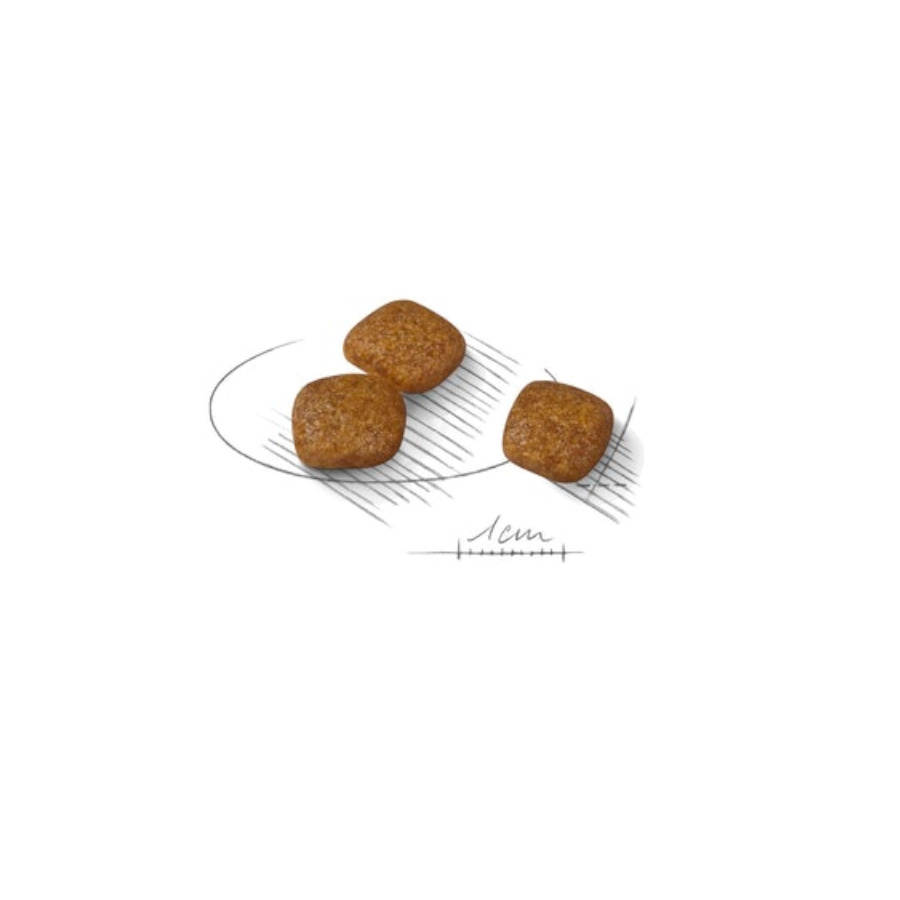 Ração Royal Canin Urinary Care Mini para cães