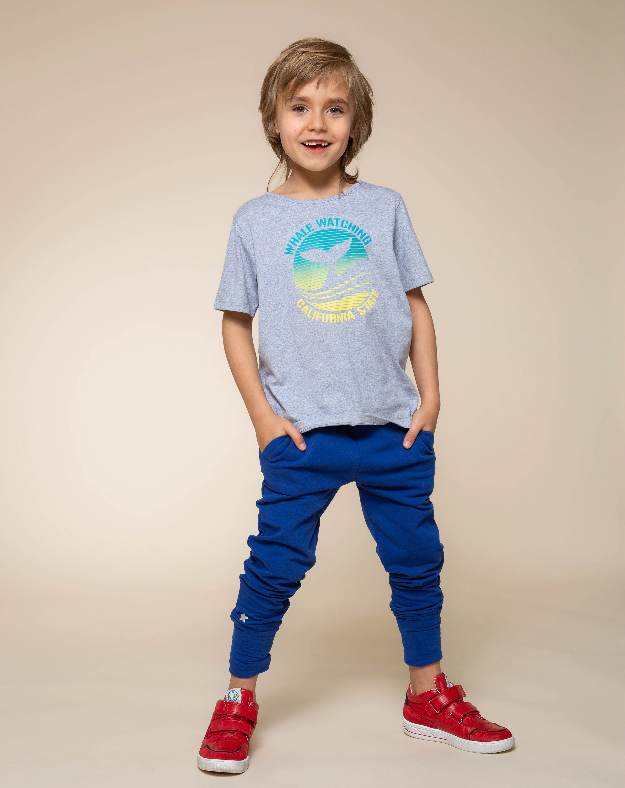 T-Shirt WHALE WATCHING in grau meliert
