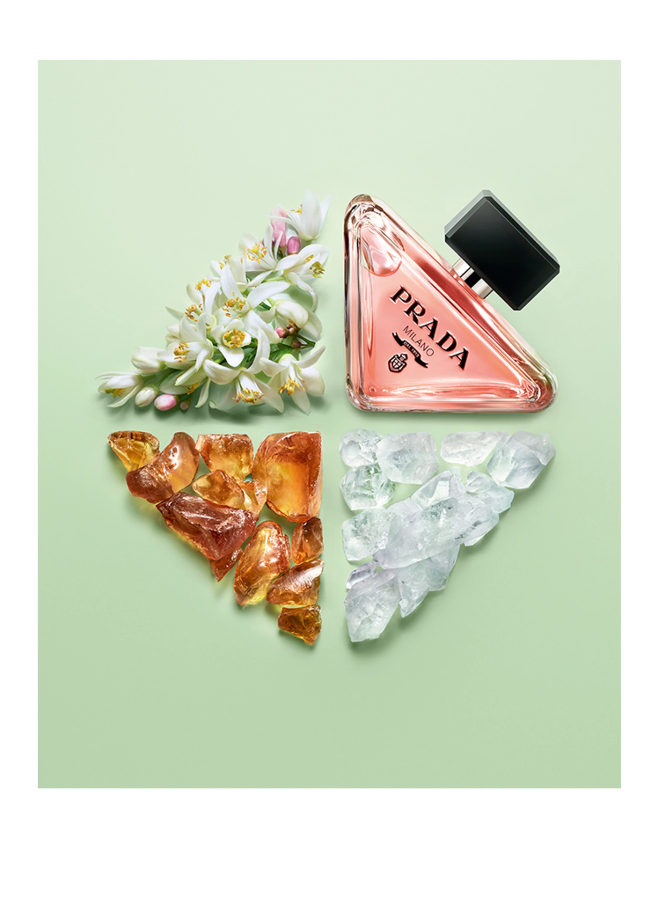 PRADA Parfums PARADOXE