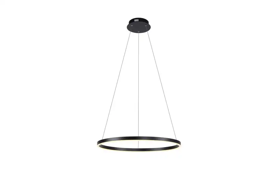 Paul Neuhaus LED Pendelleuchte