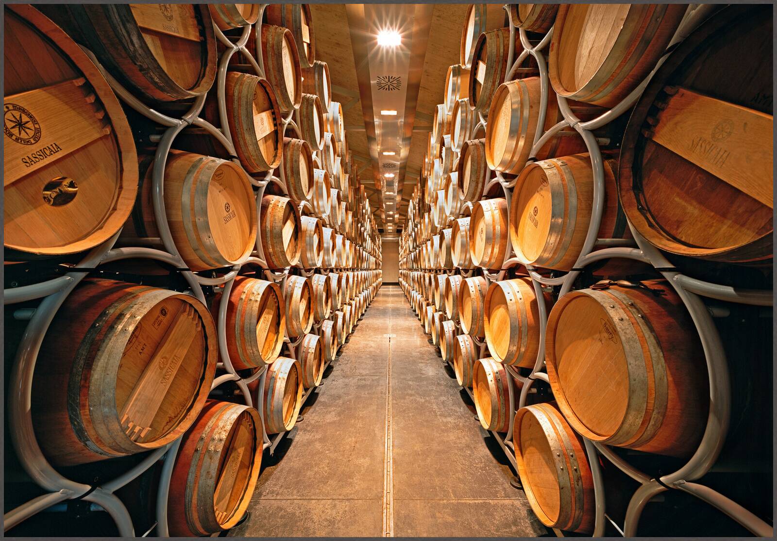 Sassicaia, Bolgheri, Italy by Rafael Neff - Limited Edition. Edition of: 150. Signed.
