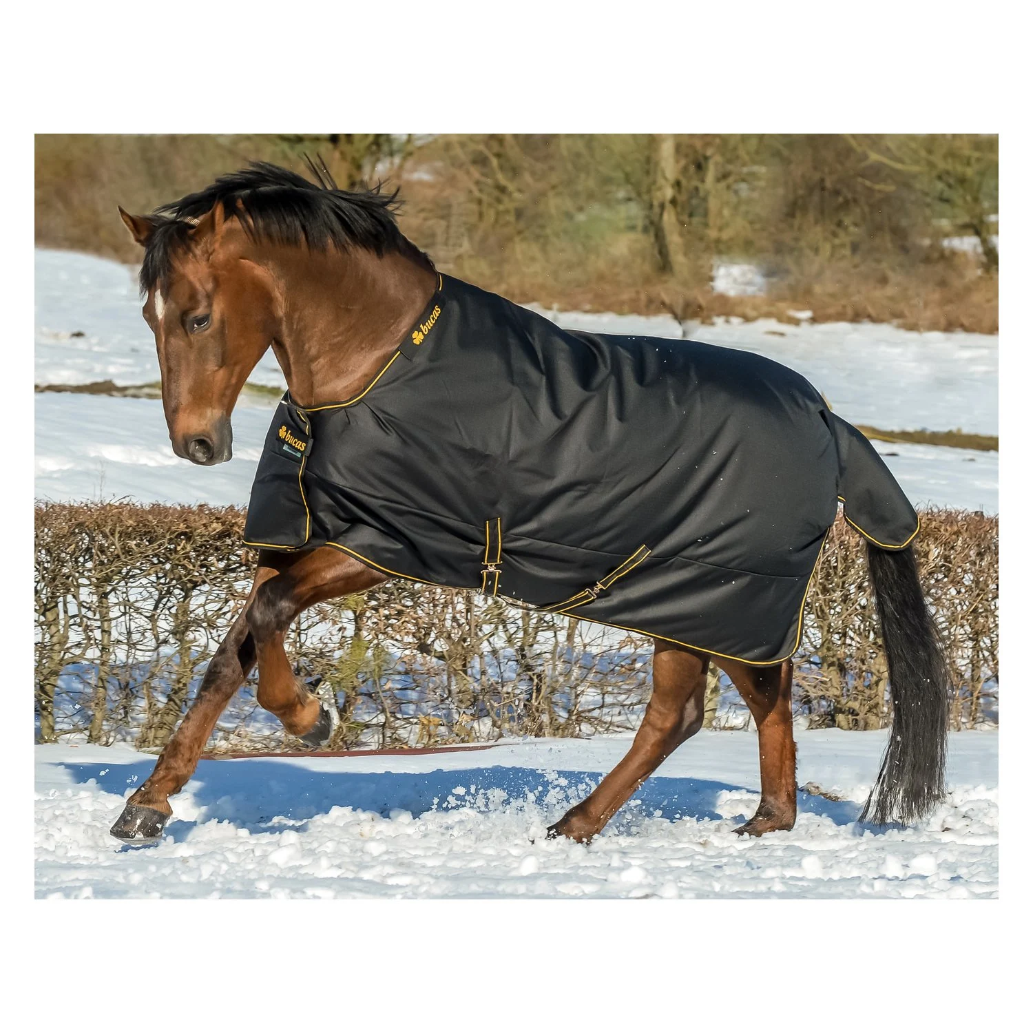 bucas Outdoordecke Irish Turnout 150 g - black/gold
