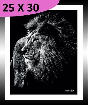 TABLEAU 25 CM X 30 CM BAGUETTE NOIRE LION