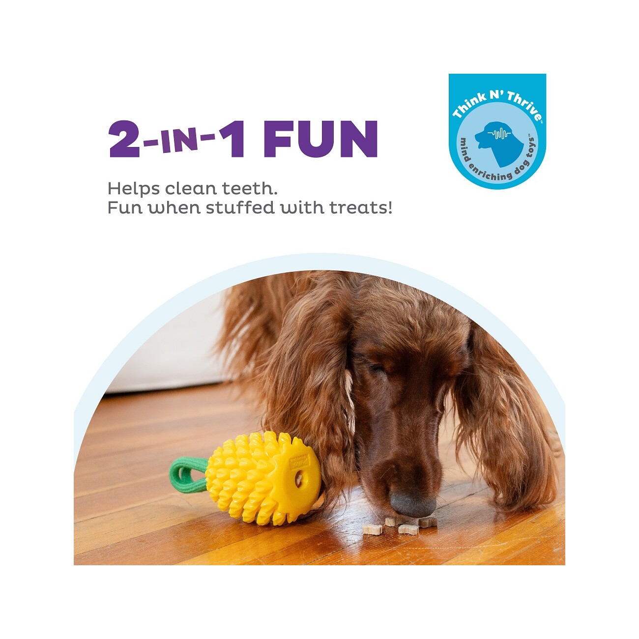 Planet Dog Dental Hundespielzeug