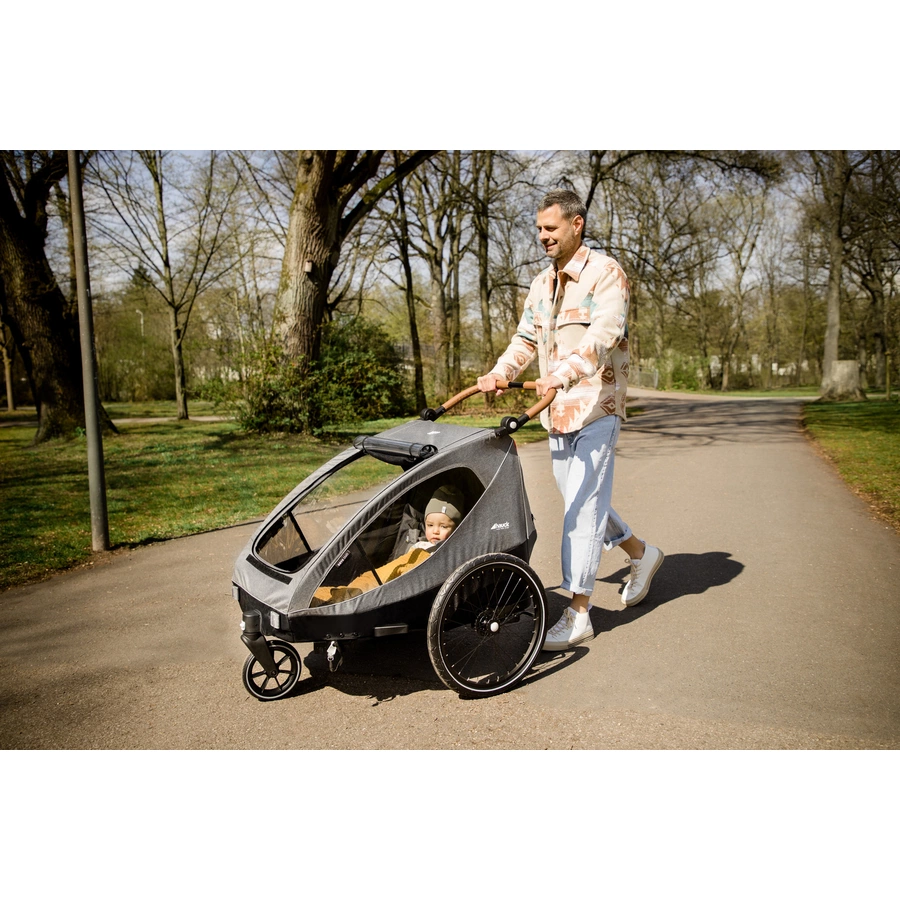 hauck 2in1 Fahrradanhänger und Buggy Dryk Duo Melange Grey