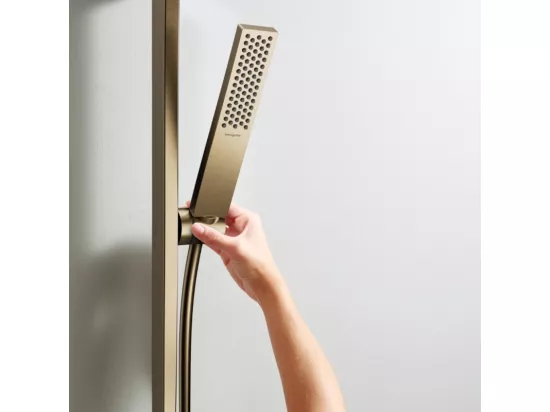 Pommeau de douche HANSGROHE Pulsify E 100 EcoSmart bronze brossé