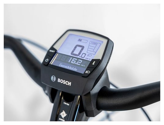 Vélo de Ville Électrique Trek Verve  2 Lowstep Shimano Acera/Altus 9V 400 Wh Vert Sauge