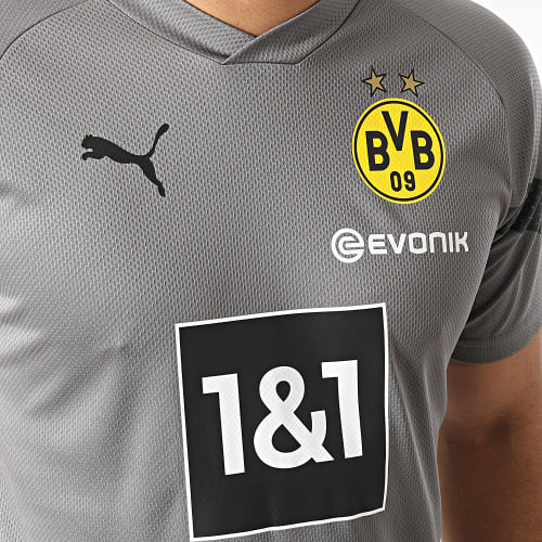 Maillot De Foot Borussia Dortmund Training 768333 Gris