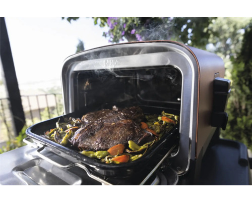 Ninja Woodfire 8-in-1 elektrische grill pizza, stomer/rijst/pastakoker 2,4 kW