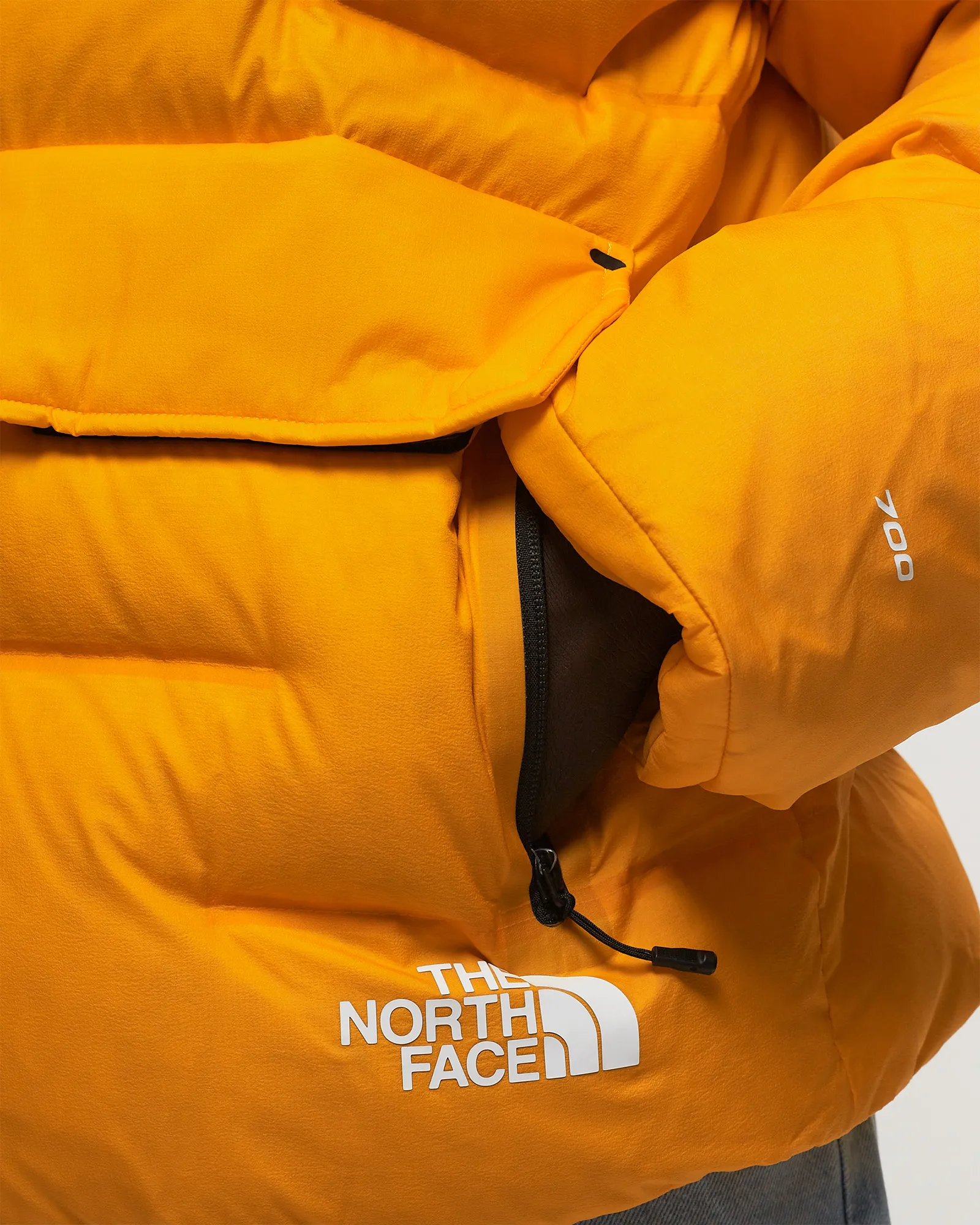 The North Face Rmst Sierra Parka