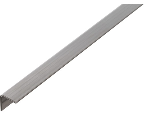 RVS hoekprofiel 10x10x1 mm, 2 m