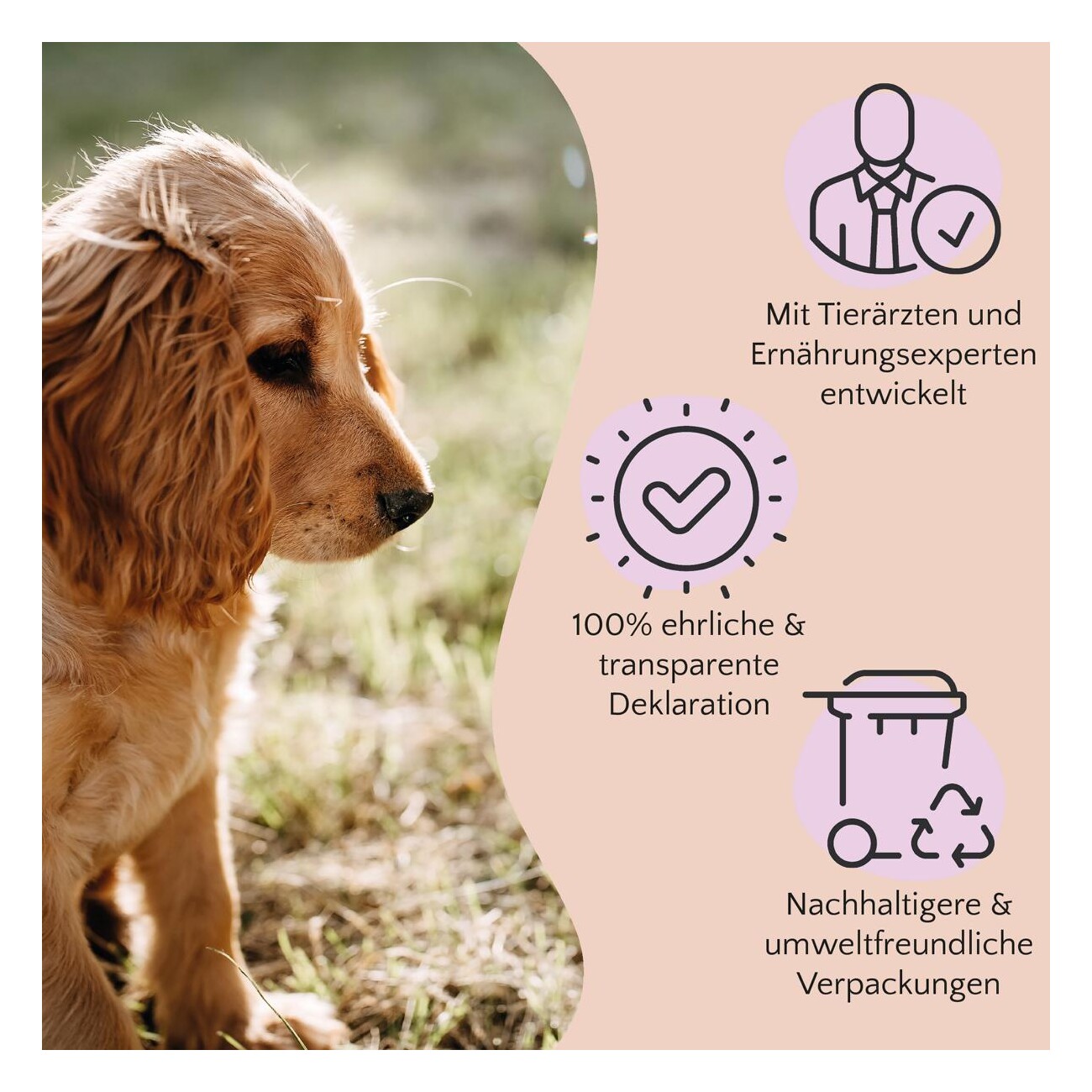 FAVLY Petfood Hirschhaut 600 g