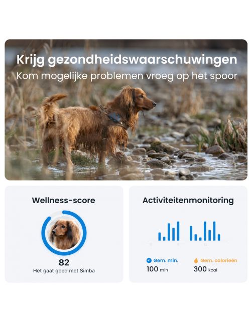 Tractive Gps Dog 4 Hondentracker En Activiteitenmonitor 17x71x28 mm - Hondenlocatievinder