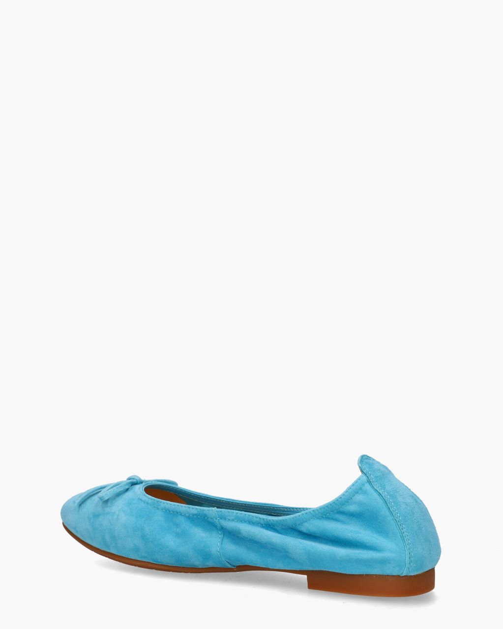 Si Haniya II Turquoise Damesballerina's