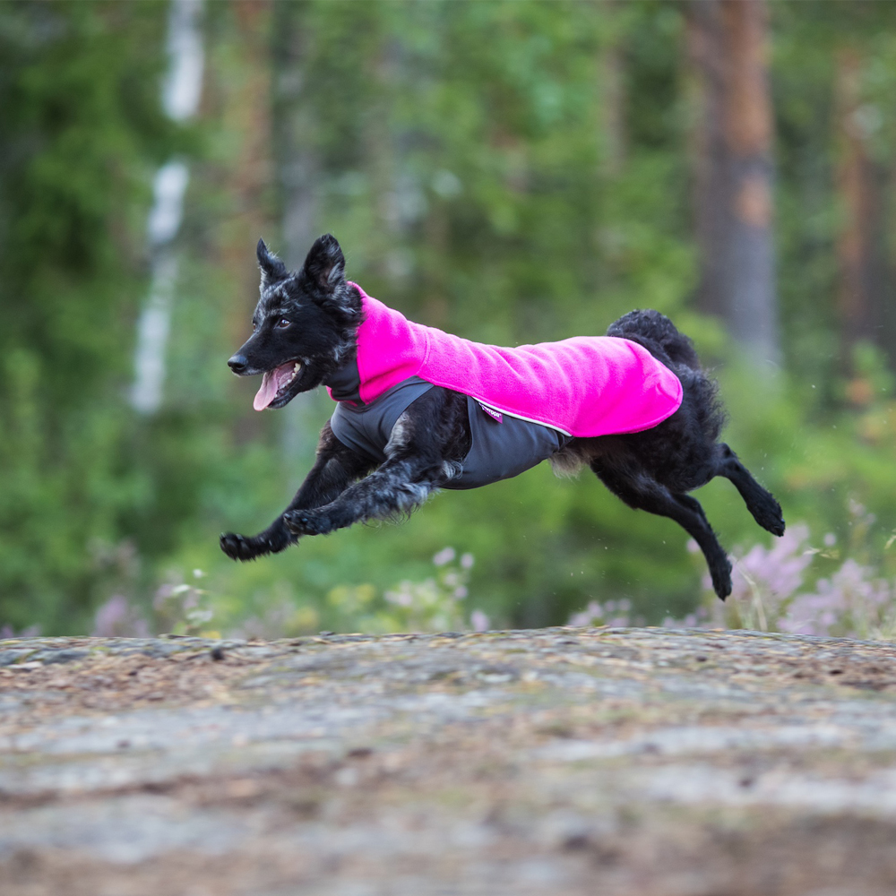 Pomppa Jumppa