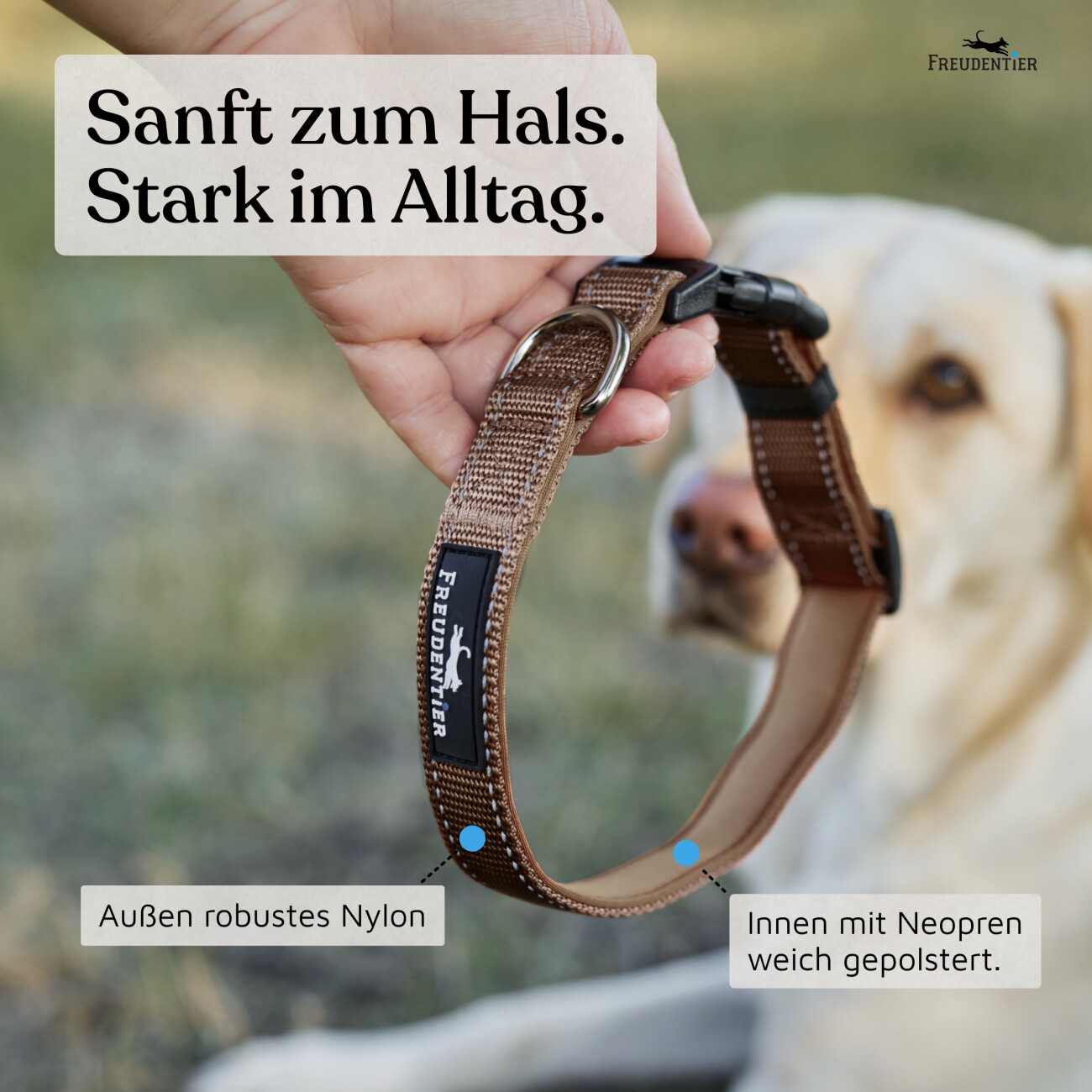 Freudentier Hundehalsband, leicht & komfortabel, Clyde Kollektion braun XS