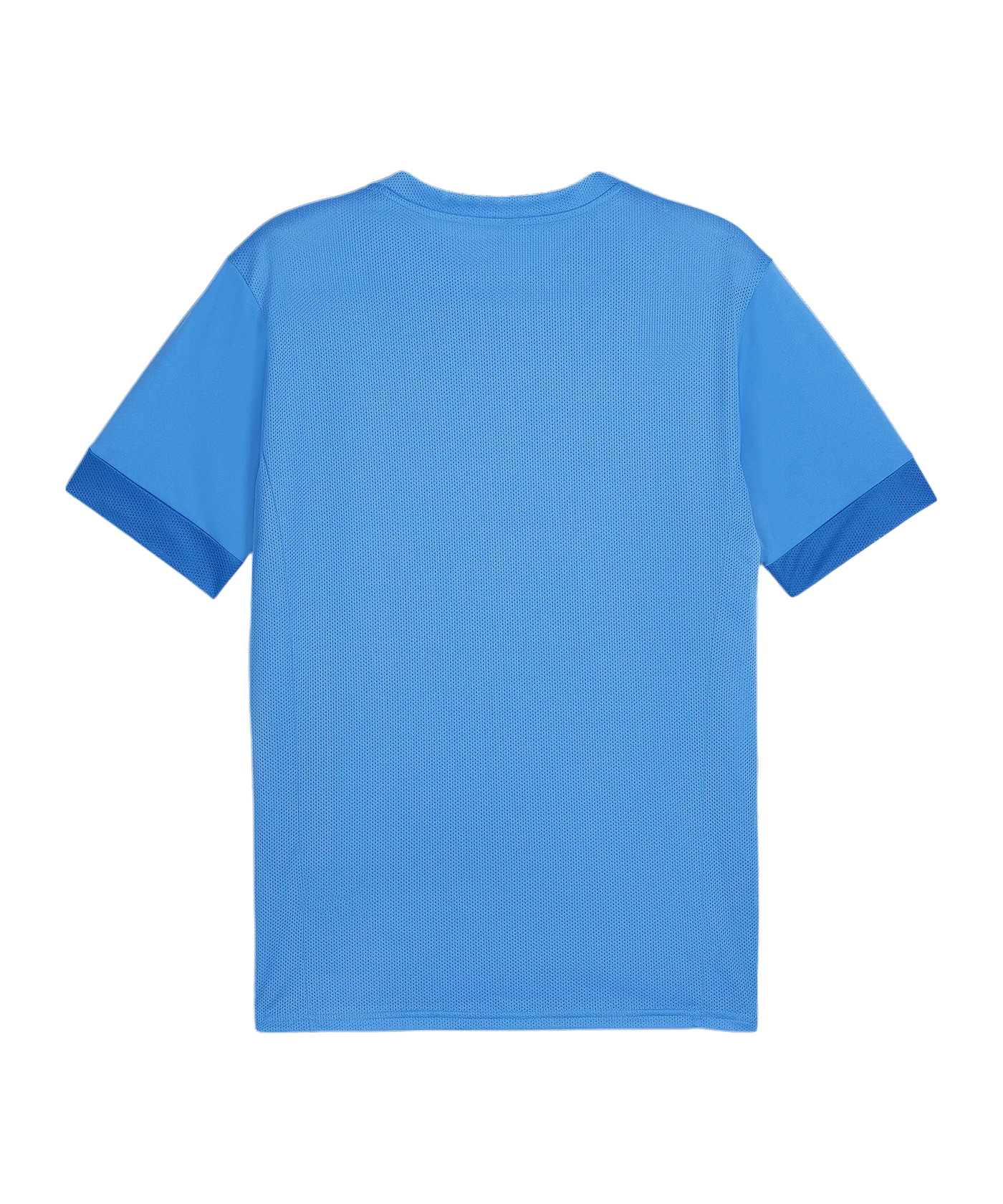 PUMA teamGOAL Matchday Trikot Blau Weiss F02