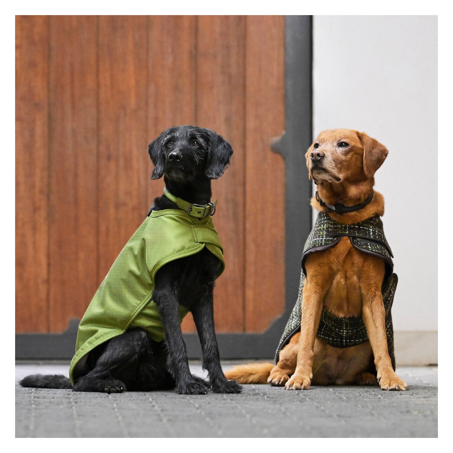 ESKADRON Platinum Hundemantel 1680D Teddyfleece - moss green