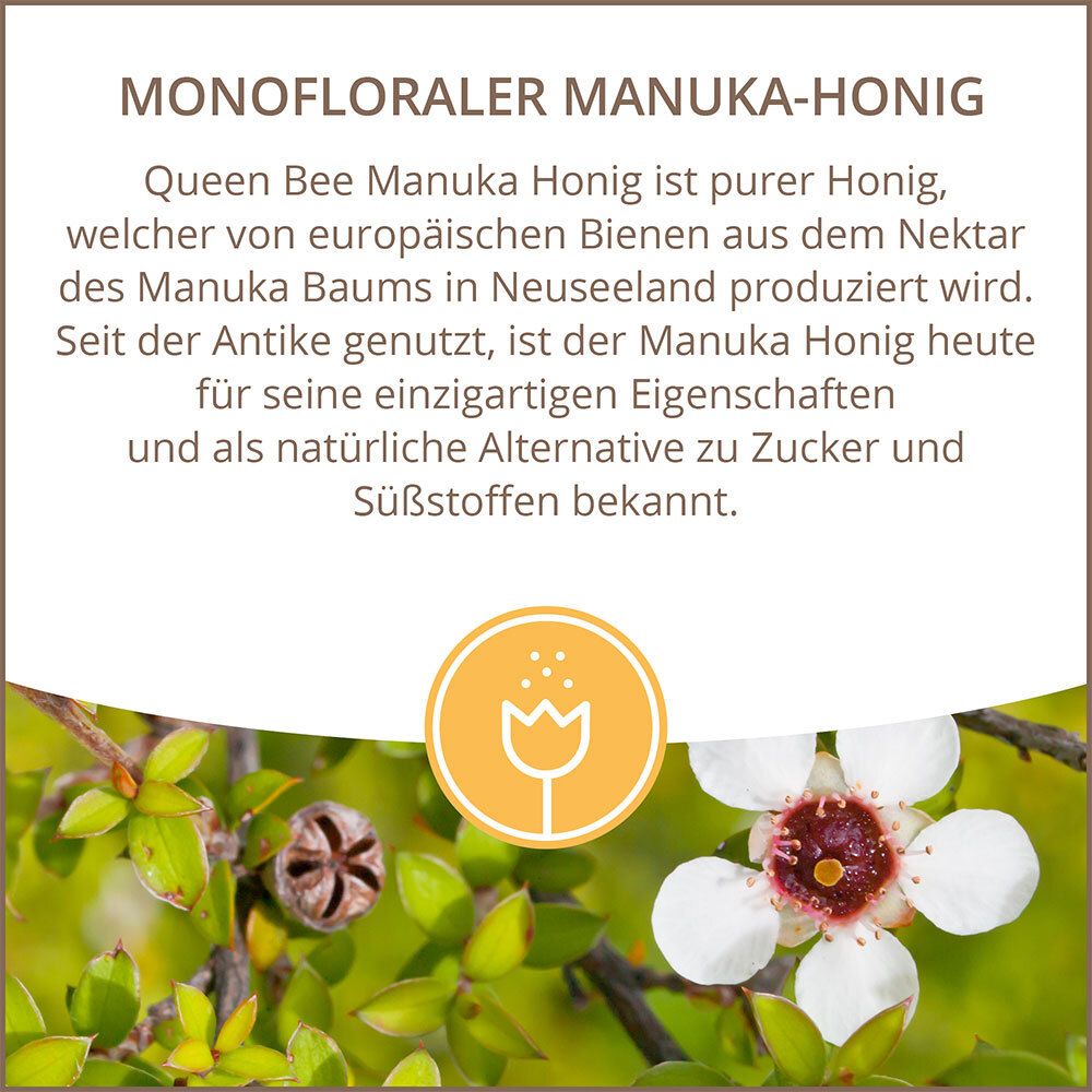 NZ QueenBee MANUKA HONIG MGO 400+ 250G