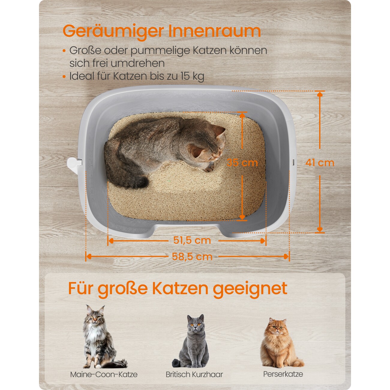 FEANDREA Katzentoilette für große Katzen mit hohen Seitenwänden grau