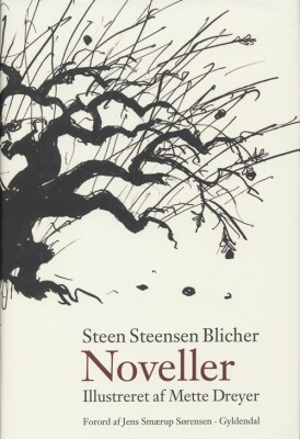 Noveller - Steen Steensen Blicher - Bog