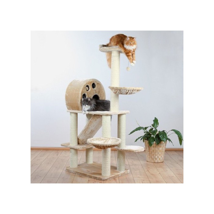 Arbre à chat Allora