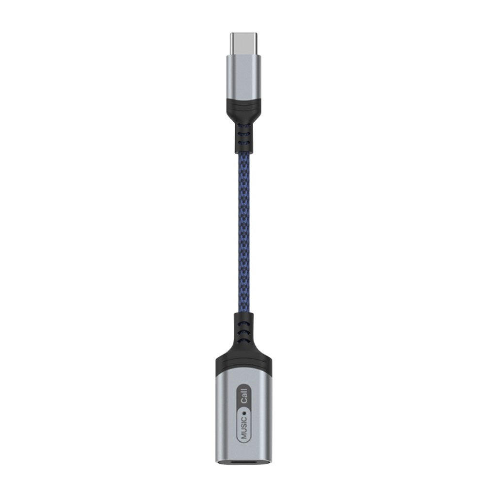 USB C auf Lightning Audio Konverter Adapter - Grau