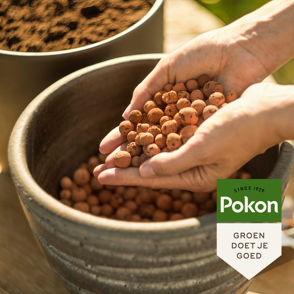 Pokon Hydrokorrels 5 L
