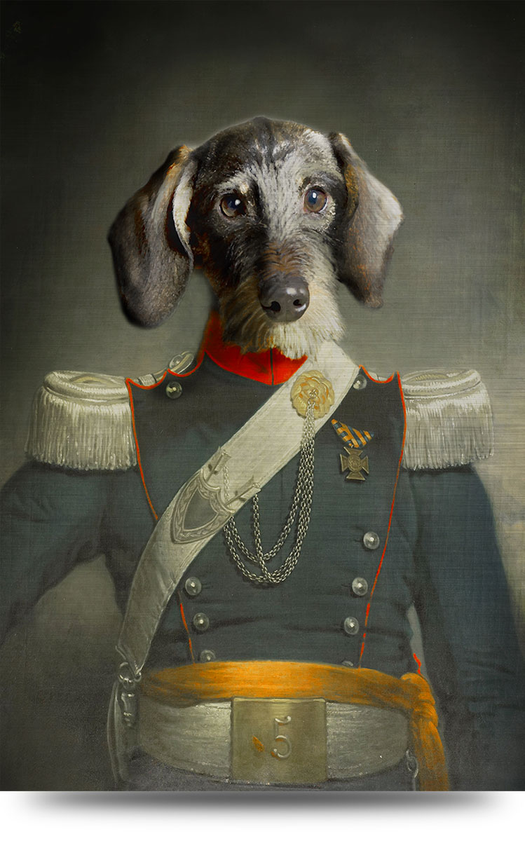 Canvas dierenportret Teckel Ruwharige teckel heer - 40 x 60 cm