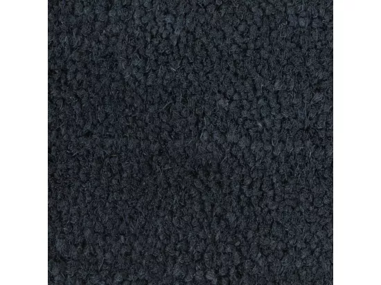 Tapis de porte gris foncé 100x300 cm fibre de coco touffeté