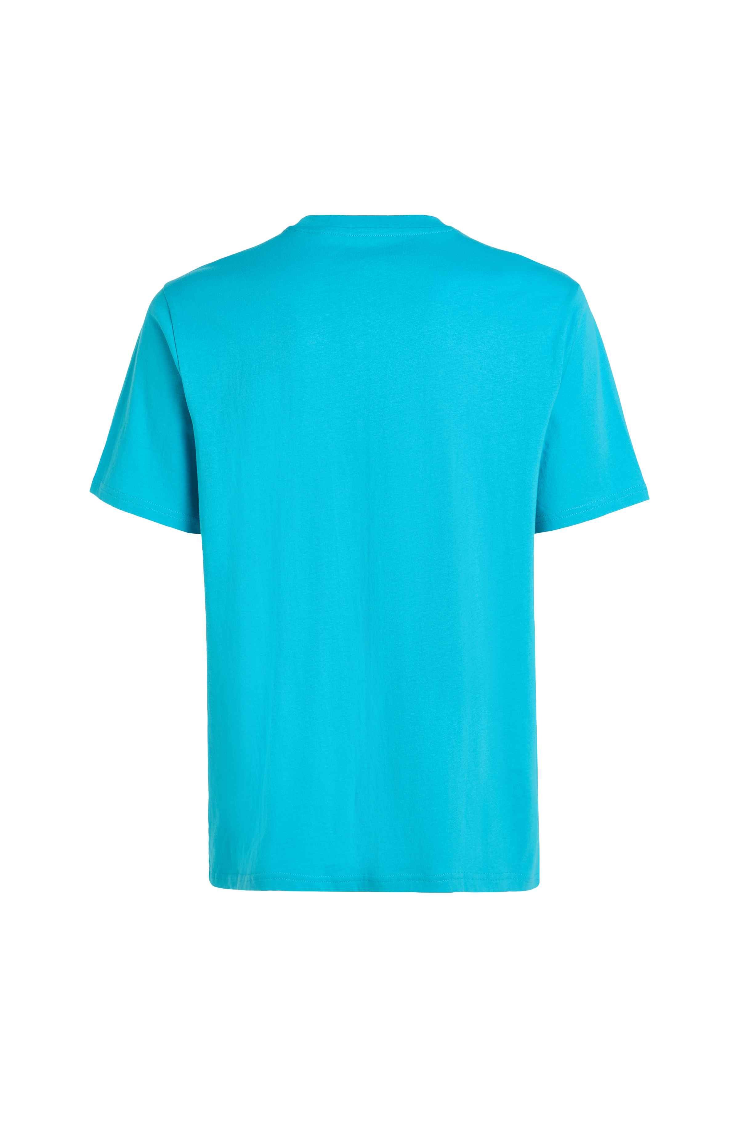 Jack  Muir T-shirt O`Neill Felblauw