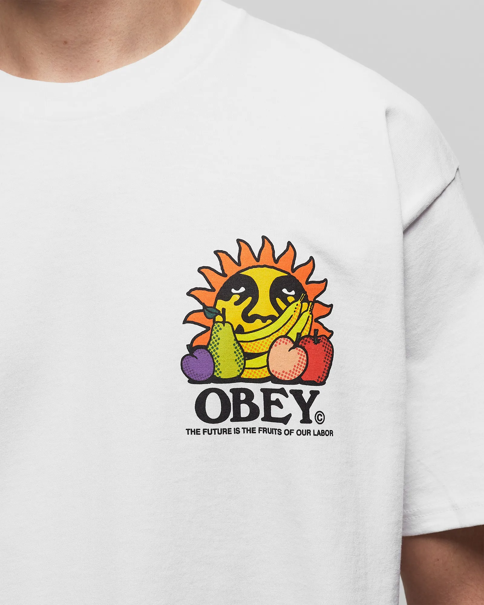 Obey The future is the fruits of ou