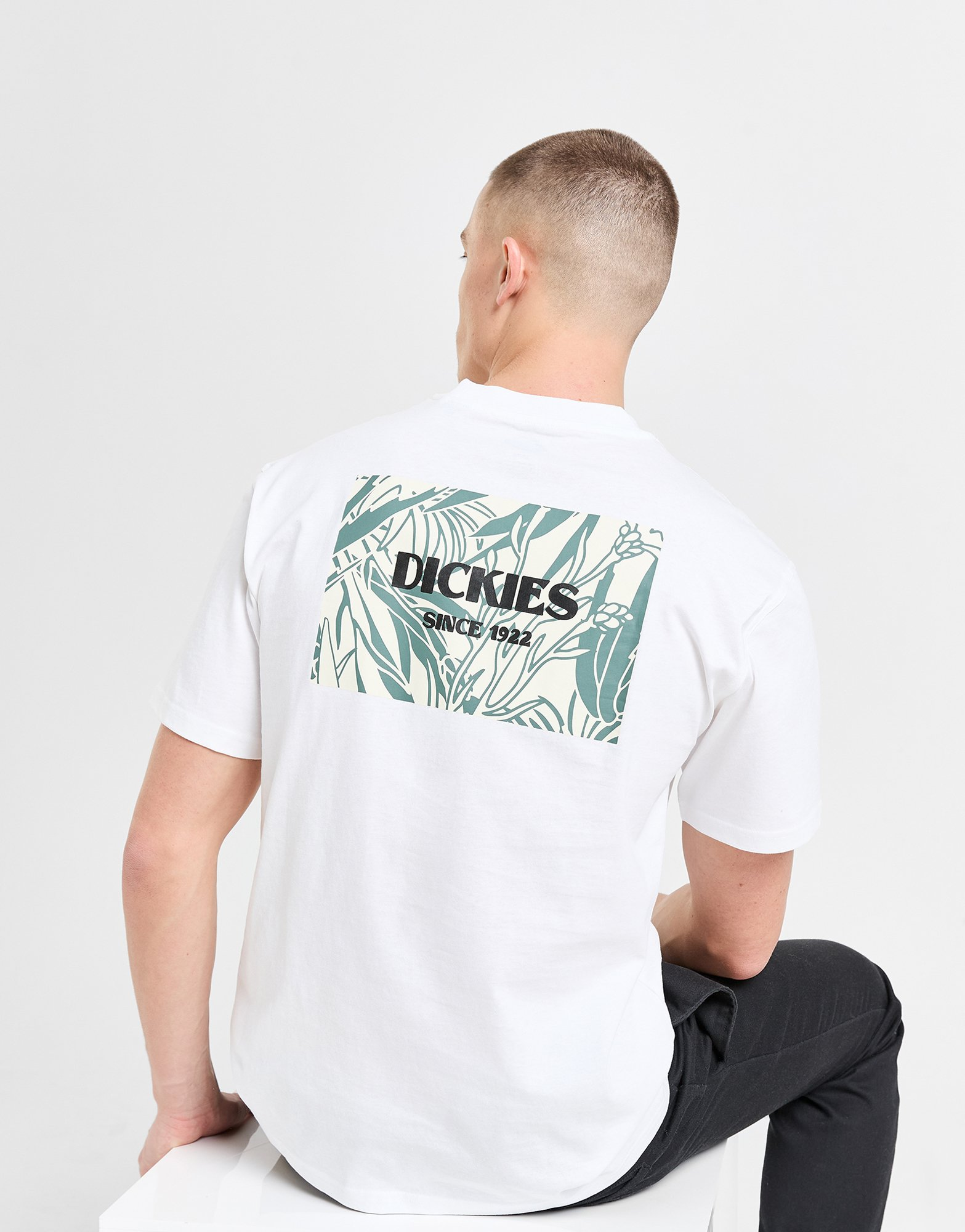 Dickies T-shirt Max Meadows Homme