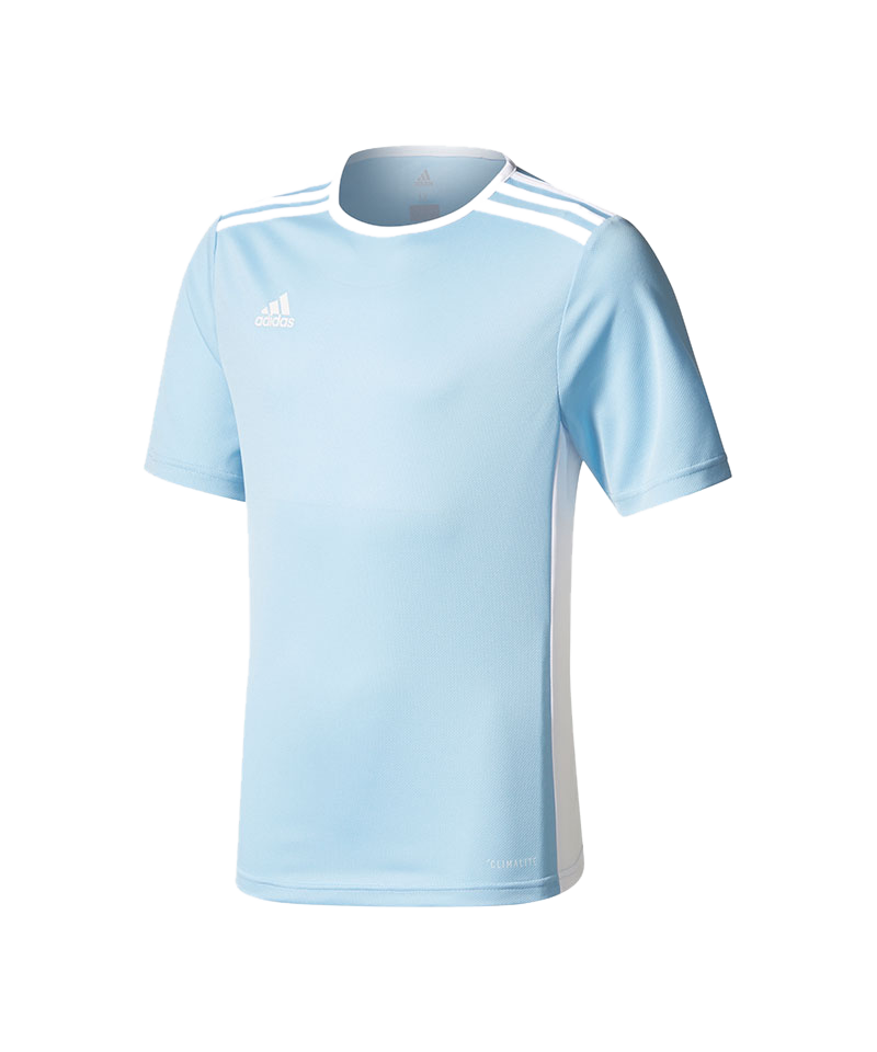 adidas Entrada 18 Trikot kurzarm Kids Hellblau