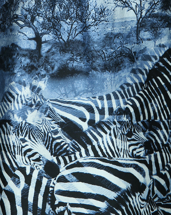 Kleid SABARA ZEBRA in nachtblau