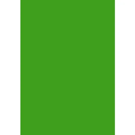 Livepac Office Tonzeichenkarton grasgrün, 250g/m², 25 Blatt