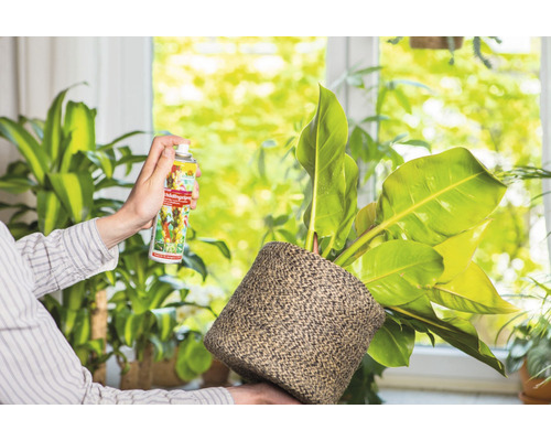 Neudorff Spruzit ongediertespray 400 ml